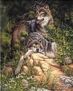  Paintworks Paint By Number, Wild & Free Wolves: Arts, Crafts & Sewing