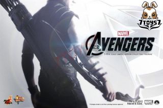 Hot Toys 1/6 Hawkeye_ Box Set _The Avengers Marvel Clint Barton NOW