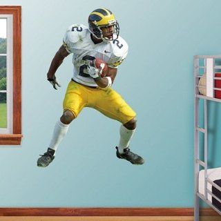  Woodson Fathead Wall Graphic Michigan Number 2