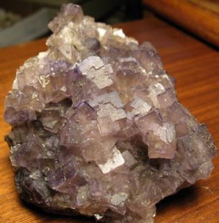  Purple Fluorite with Galena Crystals from Hardin Co Illinois