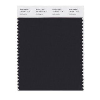PANTONE SMART 19 4007X Color Swatch Card, Anthracite   