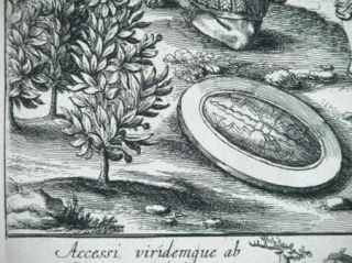  Engraving Francis Cleyn 1582 1658 Wenceslaus Hollar 1607 1677