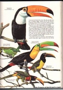 This sale is for one hardcover book Birds Of The World by Oliver L