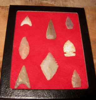 Arrowheads from An Estate Sale in A Case 