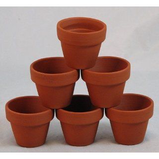 10 Mini 1 3/4 Clay Pots   Great for Plants and Crafts