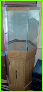 20 Gallon Hexagon Fish Tank with Stand Local Pick Up Only Will Not
