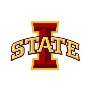 Logo Mouse Pad Iowa State University: Office Products