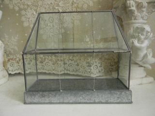  Top All Glass Sides Display Case Terrarium Style Metal Base