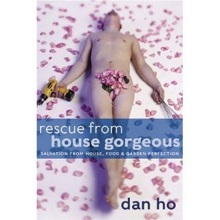 Rescue from House Gorgeous RARE Hard to Find by Dan HO New Collectible