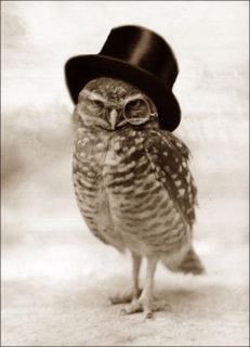 Top Hat Owl w Monocle Repro Greeting Card Steampunk Bird