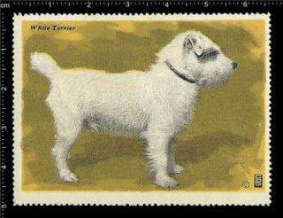 Old Original German Poster Stamp Advertising Dog Hund