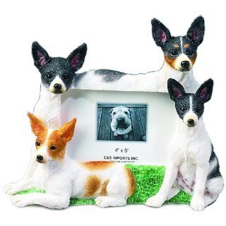 E&S Pets 35257 123 Large Dog Frames: Pet Supplies