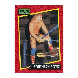  Impel Wrestling Trading Card #132  Southern Boys
