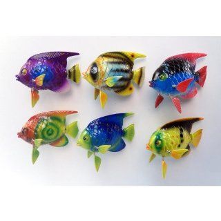 Fish Magnet 6Pcs