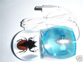 Optical Computer Mouse Blue Case Clear Golden Stag Beetle