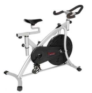 Magnetic Indoor Upright Bicycle Exercise Bike Fitness Sunny