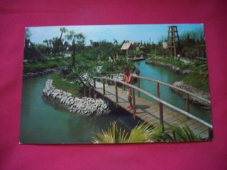 Tiki Gardens Indian Rocks Beach FL Vintage Postcard