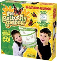 New Insect Lore Live Butterfly Garden Habitat