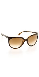 Ray Ban Cats 1000 Sunglasses