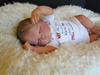 Reborn Baby Girl Doll 7lbs 4oz Delta Dawn Mohair Must See by Mitchell