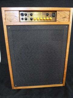 Custom Bass Amp w Markbass Tube 800 Head