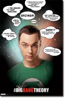 The Big Bang Theory Sheldon Cooper Quotes Jim Parsons Poster