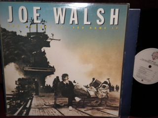 Joe Walsh You BOUGHT It You Name It LP