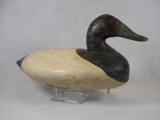  Upper Chesapeake Bay MD Canvasback Drake Duck Decoy John Graham