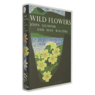Wild Flowers by John Gilmour and Max Walters in DJ