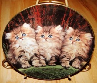 Purrfect Portraits THREE LITTLE KITTENS Orange Persian Cat Danbury Mint Plate  