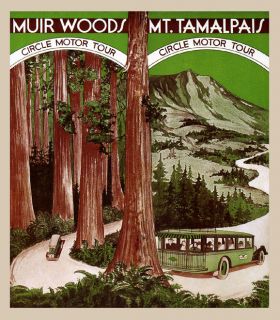 Muir Woods National Park California Redwood Trees Vintage Poster Repro FREE S H  