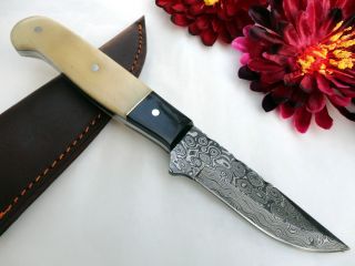 Kaif Custom Hand Made Damascus Steel knife Hunting Knife Buffalo Bone