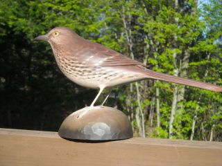 Brown Thrasher Bird Carving by Keith Mueller Decoy