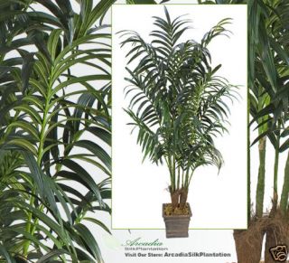 Two Kentia Palm 8 5 7 Artificial Tree Extra Full