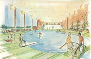 Kerhonkson NY Rubins Maple View Hotel Pool Postcard