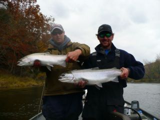 King Salmon and Steelhead Guided Fishing in West Michigan