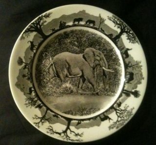 Kruger National Park Wedgwood Elephant 8½ inch Plate