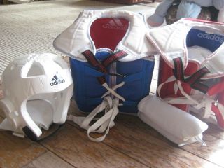 Tae Kwon do Sparring Gear Karate Equipment Chest Protector and Helmet