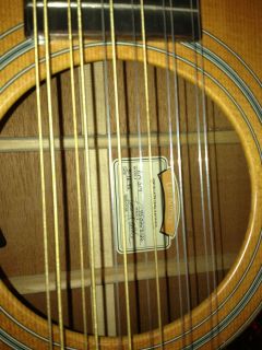 Taylor USA Leo Kottke Jumbo 12 String Acoustic Electric