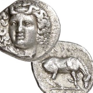 LARISSA THESSALY Facing Head NYMPH HORSE Ancient Greek Silver Coin
