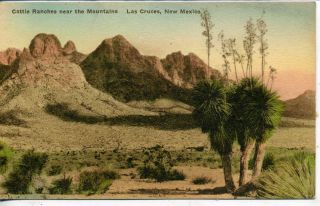 LAS CRUCES NEW MEXICO MOUNTAIN CATTLE RANCH VINTAGE HANDCOLORED