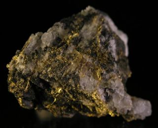 Fine Gold Mineral Specimen Prospect Near Mont Laurier QC Canada