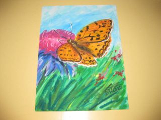 Original Pastel Butterfly by Polish Artist Dorota Laz Signed