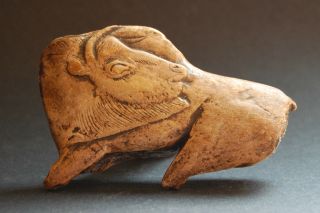 French Cave Paleo Art Licking Bison Archaeology Antler Artifact
