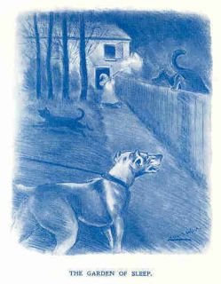 Louis Wain Dogs Cat Sleep Garden Antique Print 1905