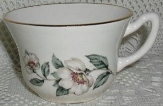 Salem Made in USA China White Magnolia 22K Gold Cup