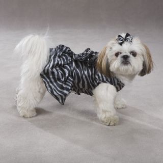  Zebra Dress Beautiful Platinum Print dog puppy clothing 8 inches