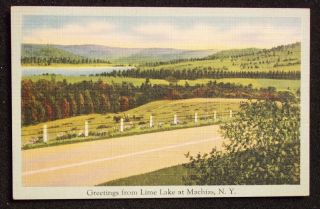 1940s Linen Lime Lake Road Greetings Machias NY PC