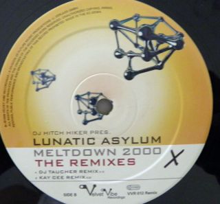 DJ Hitch Hiker Pres Lunatic Asylum Remixes Vinyl LP RARE Record DJS