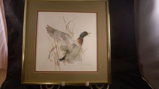 Mads Stage Danish Artist Watercolor Print Signed Wild Duck Mallard